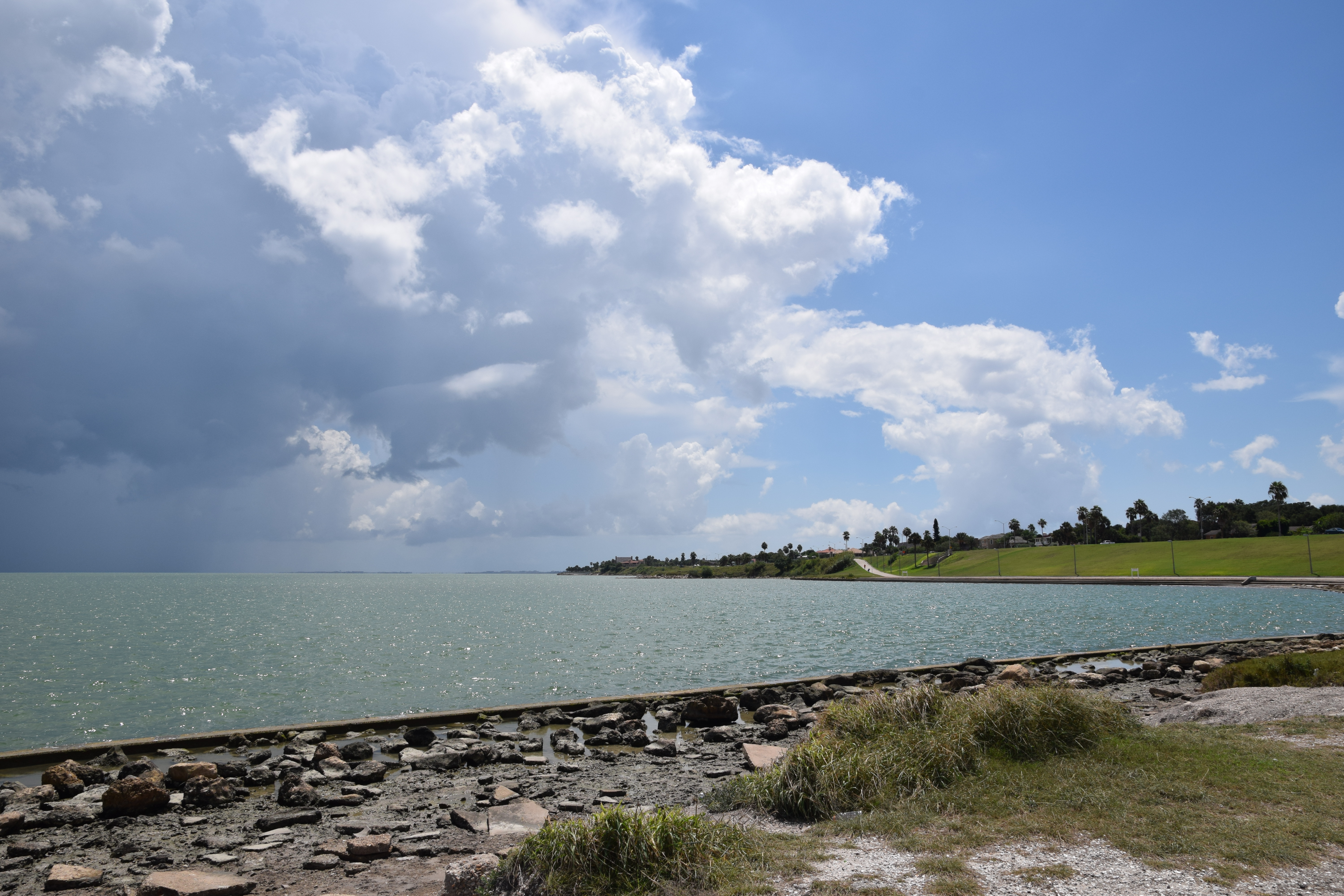 DSC_0384