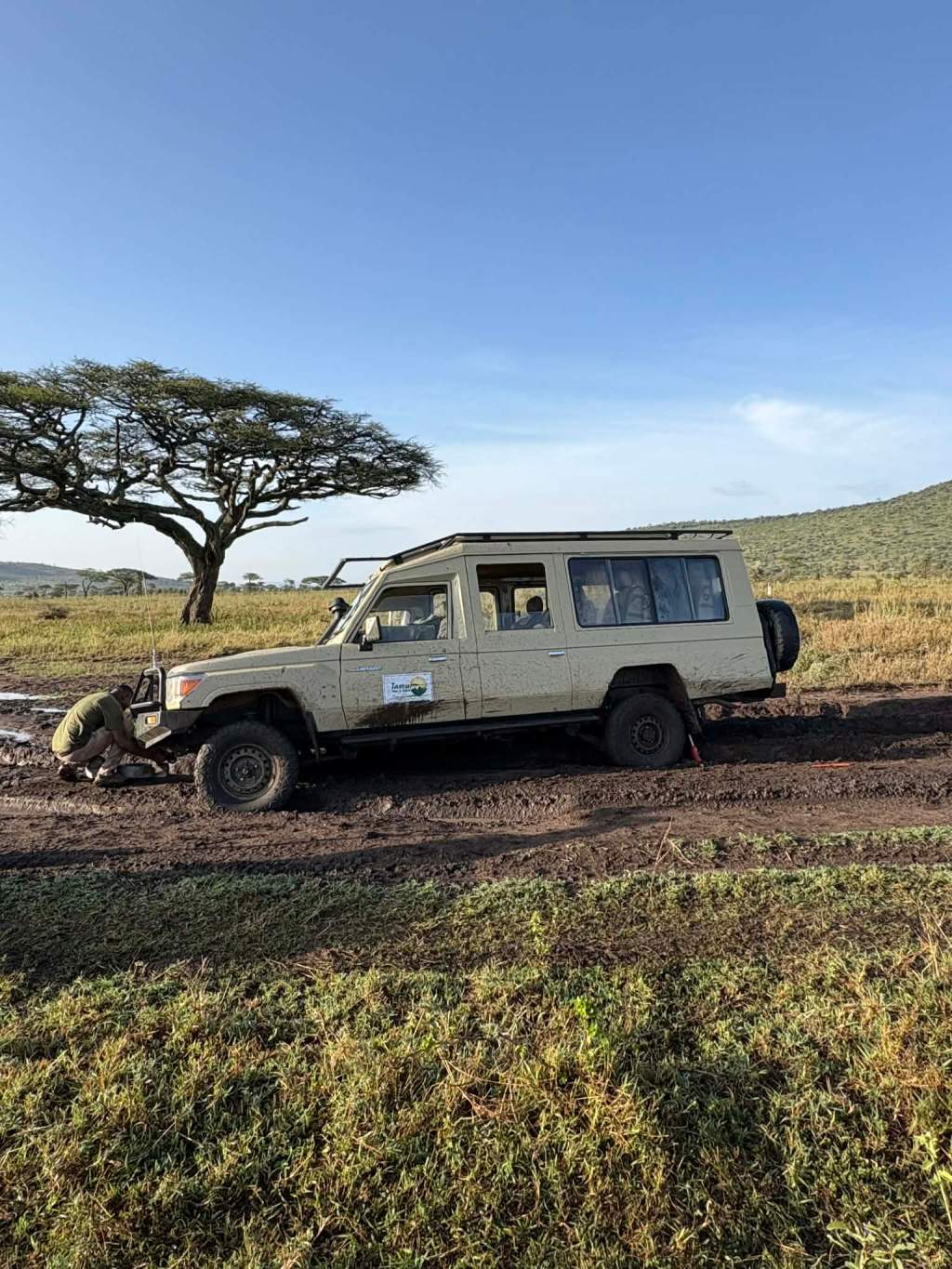 Safari v Tanzanii